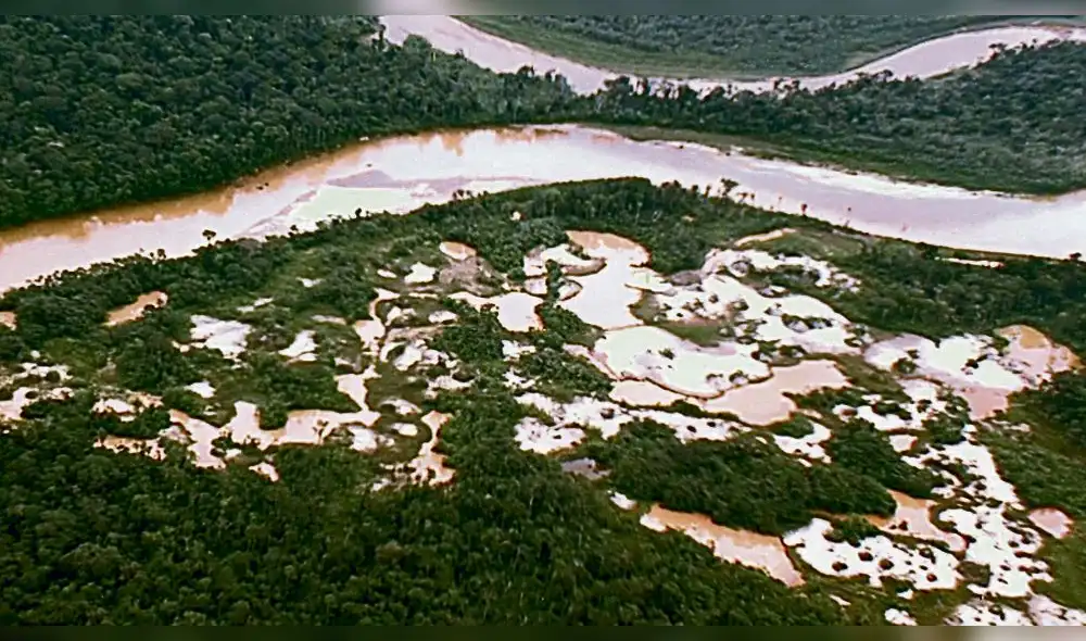Madre de Dios: Depredación de bosques avanza impulsada por la fiebre del oro