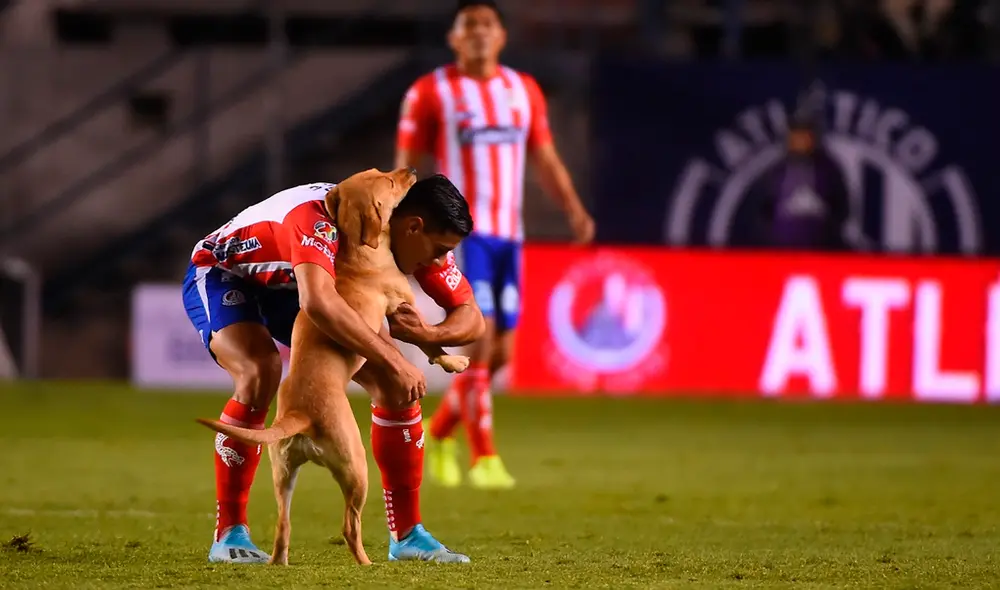 Cruz Azul vs. San Luis EN VIVO: sigue aquí el partido por Liga MX 2020. | Foto: @AtletideSanLuis