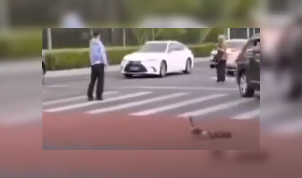 Un policía vio a los patos y decidió para el tránsito para que las aves crucen. Foto: YouTube
