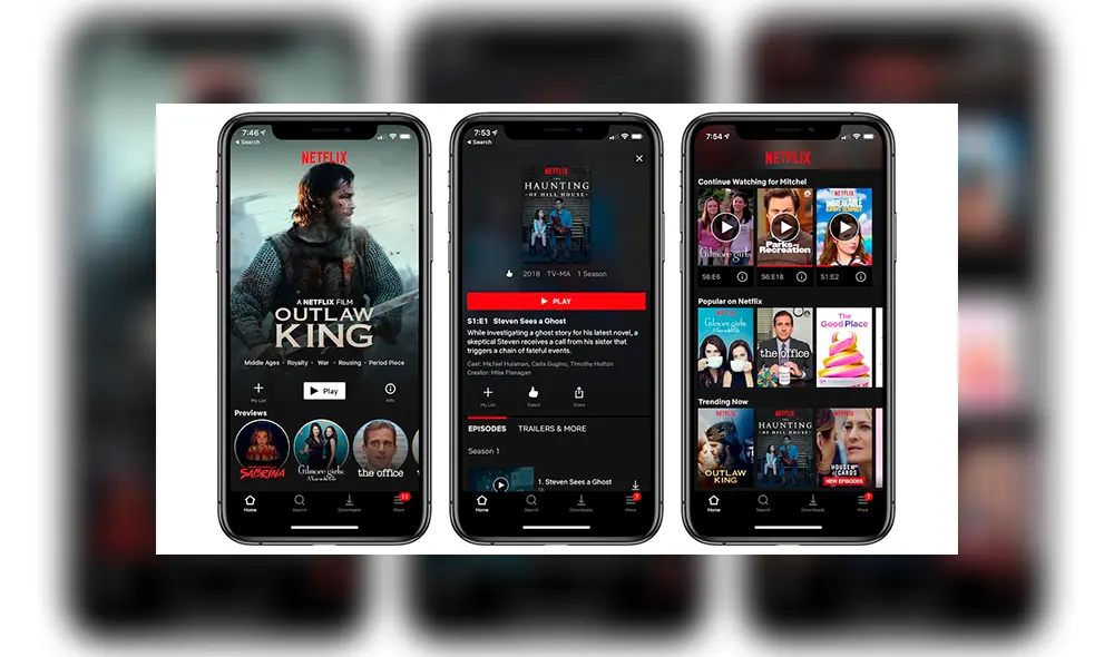 Netflix espera aumentar las suscripciones en los próximos meses.