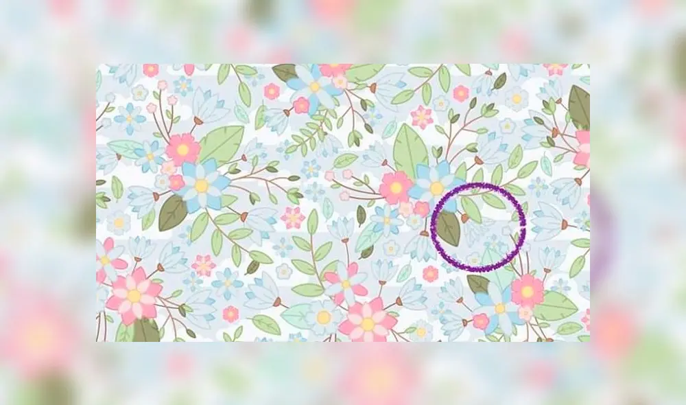 Desliza las imágenes para conocer la respuesta de este complejo reto visual. Foto: Facebook/difusión Desliza las imágenes para conocer la respuesta de este complejo reto visual. Foto: Facebook/difusión