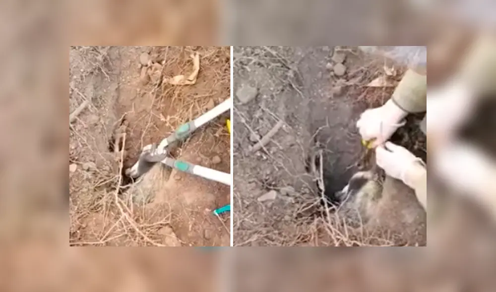 Desliza hacia la izquierda para ver las imágenes del video viral de YouTube.