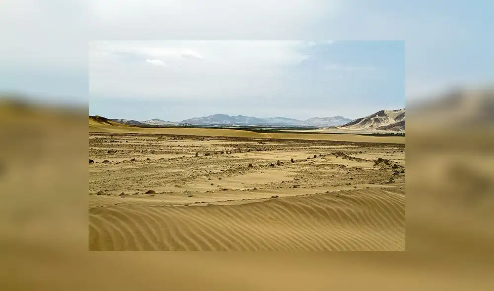 Región pidió ser eximido de proceso para recuperar 16,000 ha de Chavimochic Región pidió ser eximido de proceso para recuperar 16,000 ha de Chavimochic