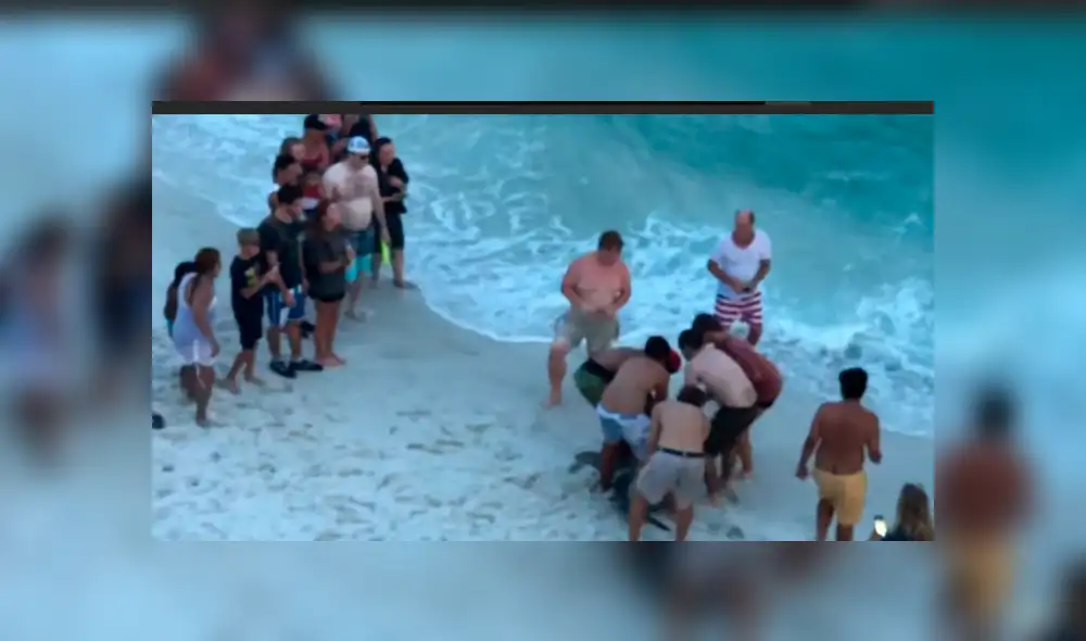 YouTube viral: tiburón martillo fue ayudado por bañistas que lo regresaron al mar [VIDEO]