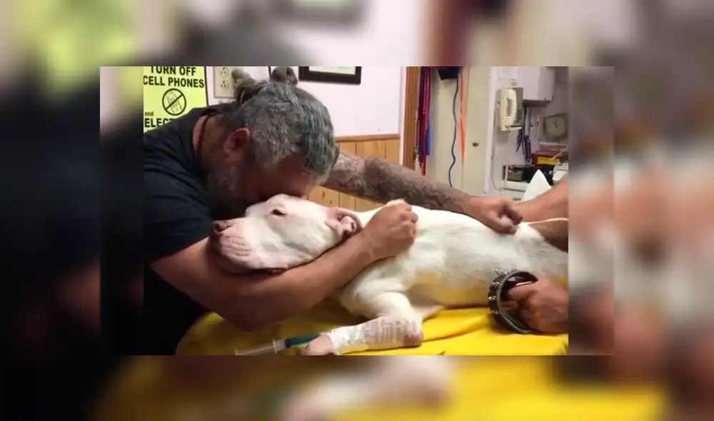 Video es viral en Facebook. El dueño del can rompió en llanto y protagonizó una conmovedora escena al darle el último adiós a su fiel perro que lo había acompañado por 14 años