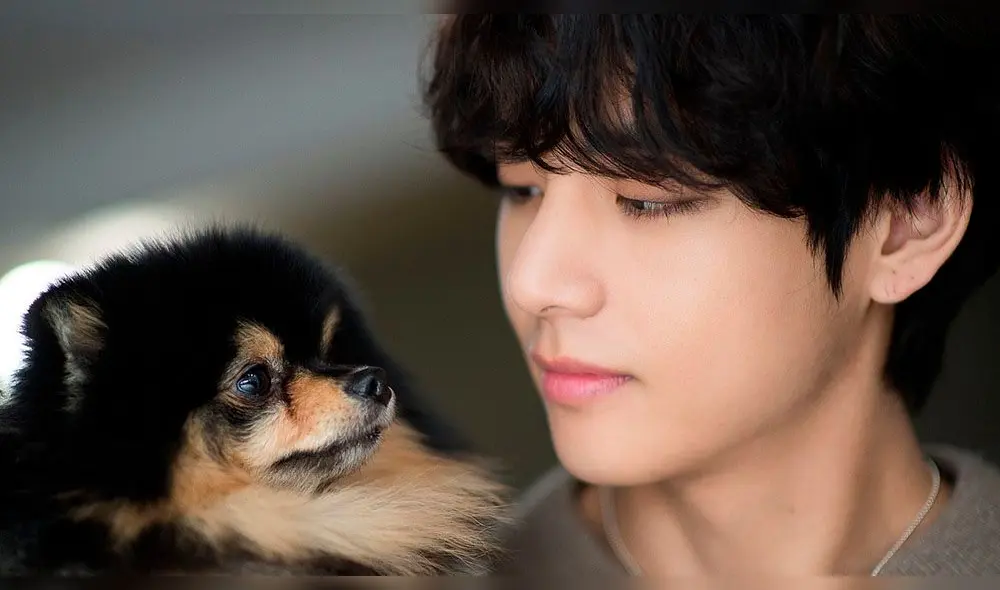 Taehyung posa junto a Yeontan para Naver x Dispatch