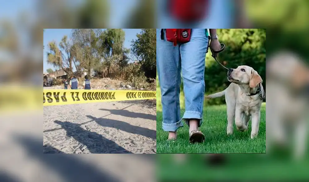 México: sacó a pasear a su perro y halló dos cuerpos descuartizados en la calle