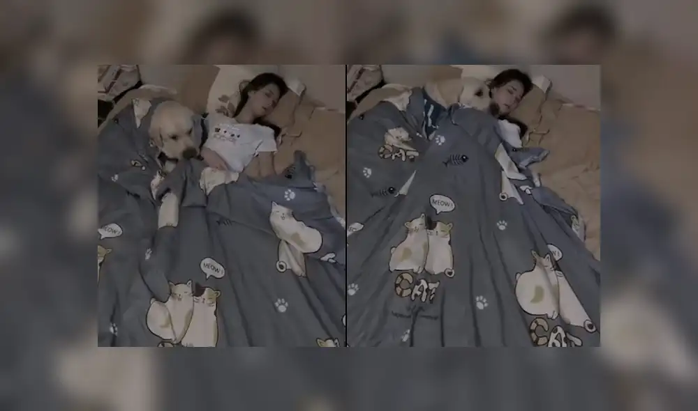 Desliza las imágenes para ver la tierna escena que protagonizó este perro junto a su dueña. Fotocapturas: Woof Woof/Facebook