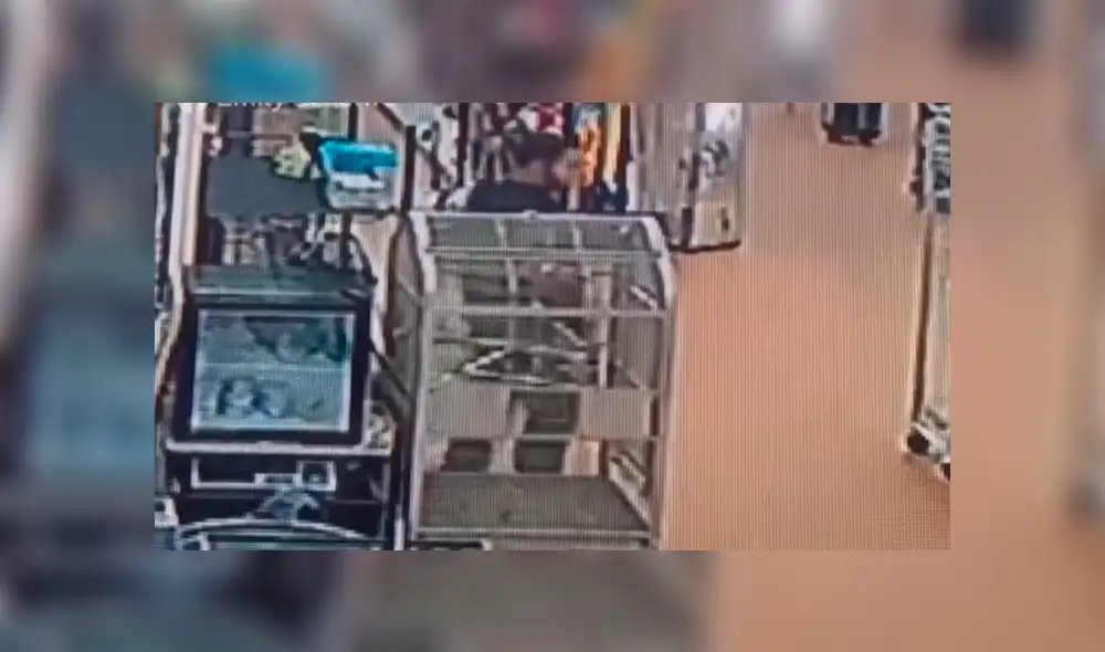 YouTube viral: un hombre ocultó en el lugar menos indicado a una serpiente que había robado  [VIDEO] 