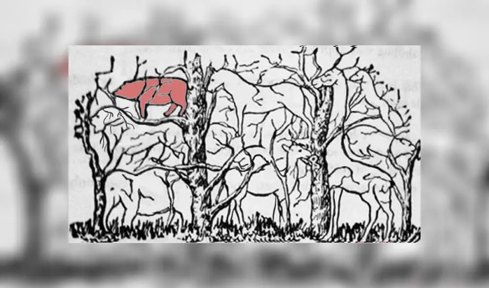 Desliza las imágenes para ver todas las respuestas de este complejo reto visual que intenta determinar el tipo de personalidad que tienes'. Foto: Facebook Desliza las imágenes para ver todas las respuestas de este complejo reto visual que intenta determinar el tipo de personalidad que tienes'. Foto: Facebook