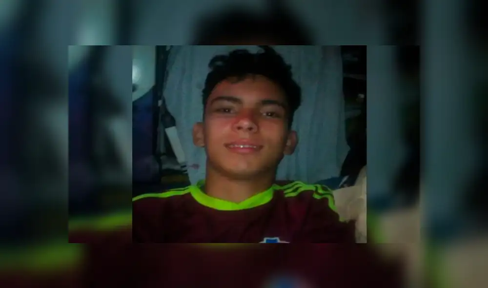 Táchira - perdigón