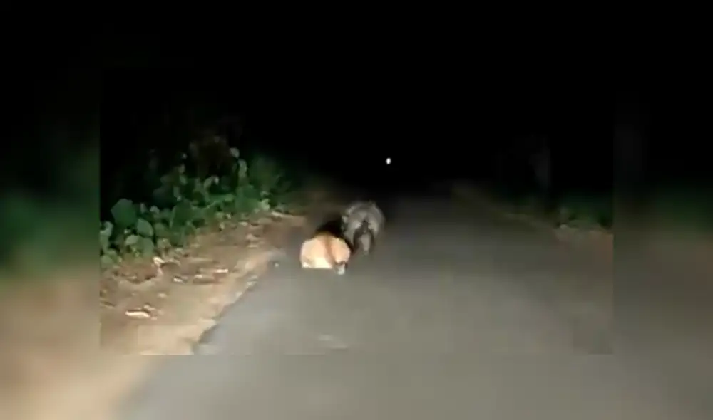 Desliza hacia la izquierda para ver las imágenes del viral de Facebook. Desliza hacia la izquierda para ver las imágenes del viral de Facebook.