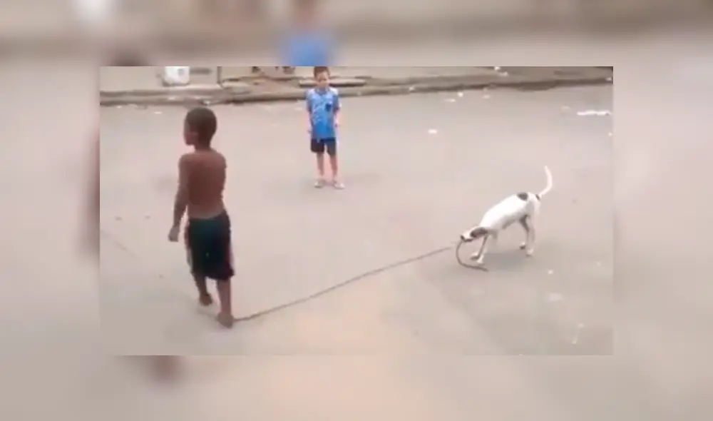 Facebook viral: perro ayuda a niños para que jueguen a saltar la cuerda en la calle Facebook viral: perro ayuda a niños para que jueguen a saltar la cuerda en la calle