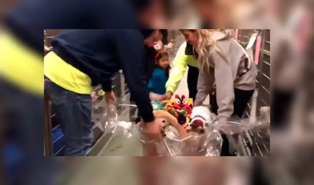 Facebook: Perros de un albergue fueron sorprendidos con increíbles regalos [VIDEO]