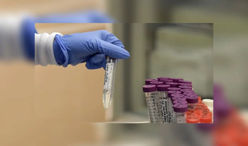 A medical workers manipulates test samples of suspected Covid-19 cases at the laboratory of the IESS Carlos Andrade Marin hospital in Quito, on June 17, 2020. - Ecuador, one of the Latin American countries hardest hit by the pandemic, has surpassed 4,000 deaths since it declared the presence of the coronavirus in its territory on February 29, the government said Wednesday. (Photo by RODRIGO BUENDIA / AFP)