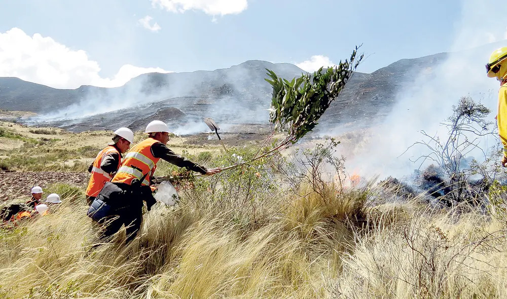 Zona devastada. Las lenguas de fuego se tornaron incontrolables durante la mañana. Foto: Luis Suarez/La República
