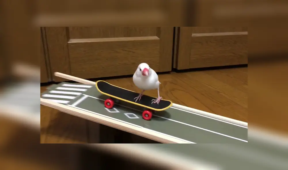 Desliza para ver los detalles del video viral que causa sensación en YouTube. Foto: Captura.