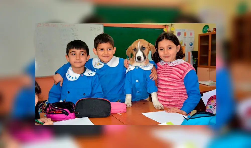 La tierna historia de este perro rescatado se hizo viral en Facebook. La tierna historia de este perro rescatado se hizo viral en Facebook.