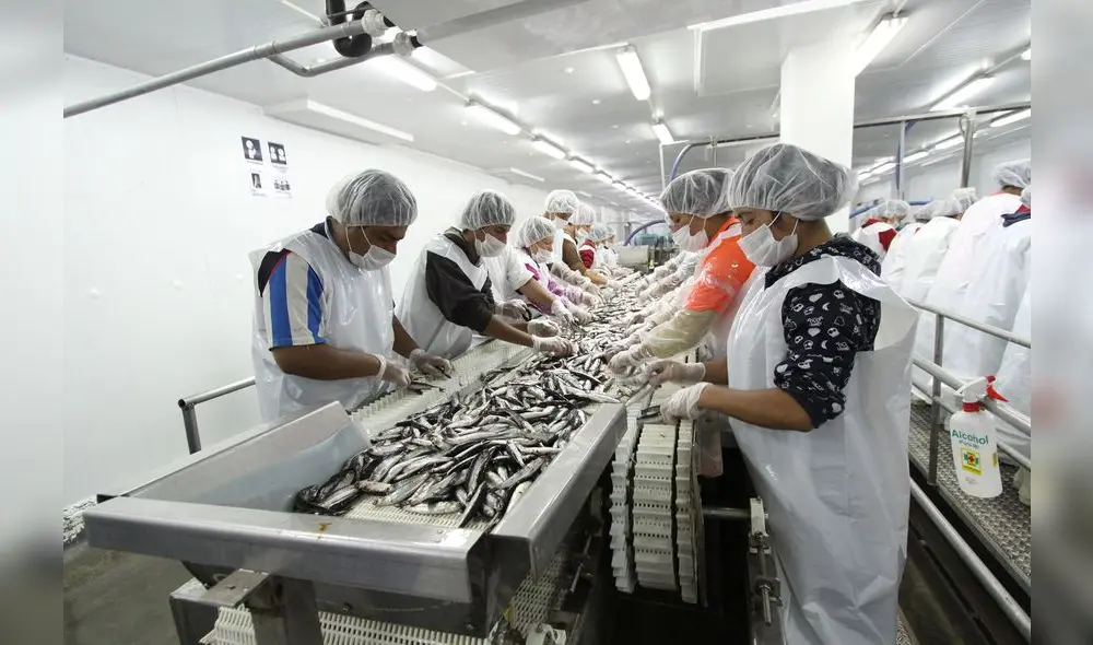 Los nuevos 12 apóstoles