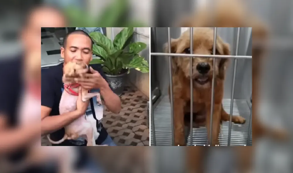 Desliza para ver más detalles sobre esta conmovedora historia que es viral en YouTube.