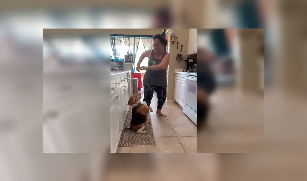 En Facebook, una joven descubrió el momento exacto que su madre y perro bailaron una canción de Sebastián Yatra. En Facebook, una joven descubrió el momento exacto que su madre y perro bailaron una canción de Sebastián Yatra.
