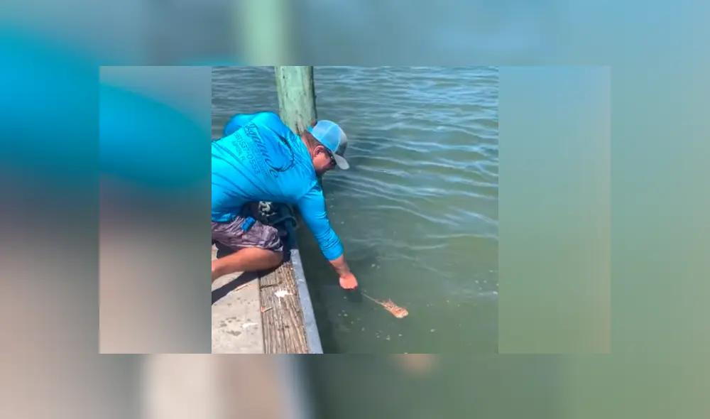 El video viral de Facebook registró el momento en que un tiburón emergió del mar para atacar a un pescador. El video viral de Facebook registró el momento en que un tiburón emergió del mar para atacar a un pescador.