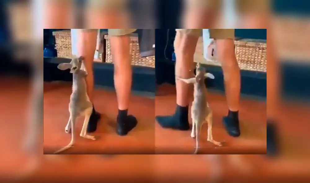 Desliza a la izquierda para ver este enternecedor acto. Foto: Captura. Desliza a la izquierda para ver este enternecedor acto. Foto: Captura.