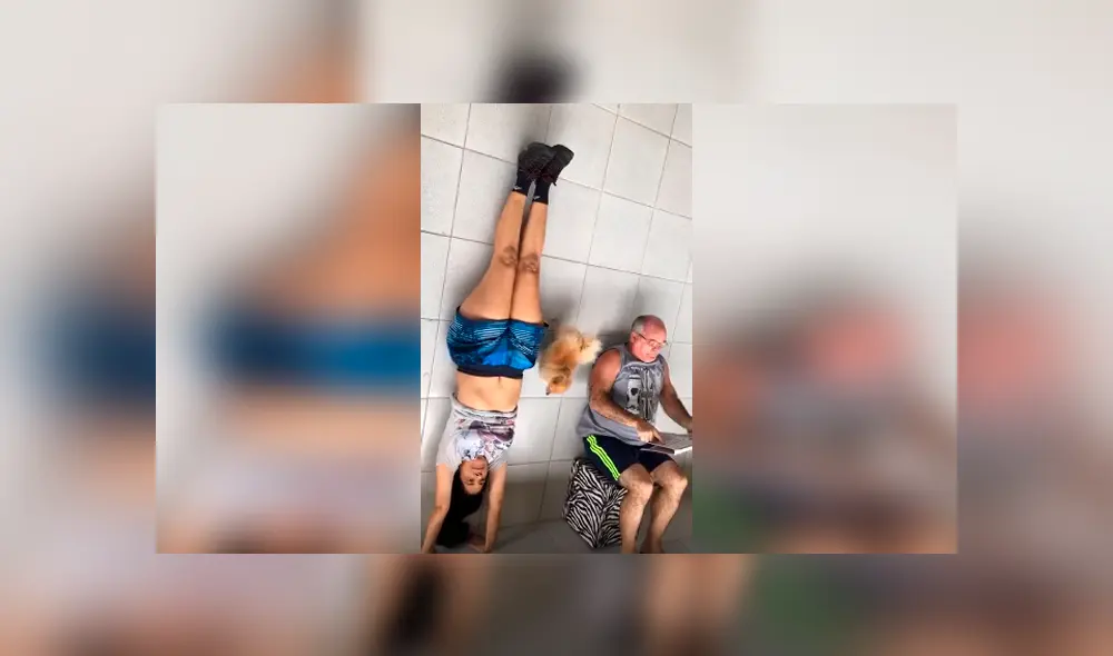 Desliza las imágenes para observar la inesperada acción de un perro para revelar la mentira de su dueña.