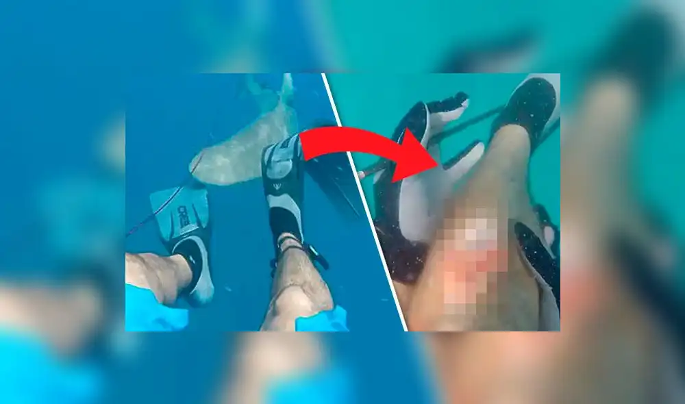 YouTube: Hombre grabó el doloroso ataque de tiburón en playa de EE.UU.