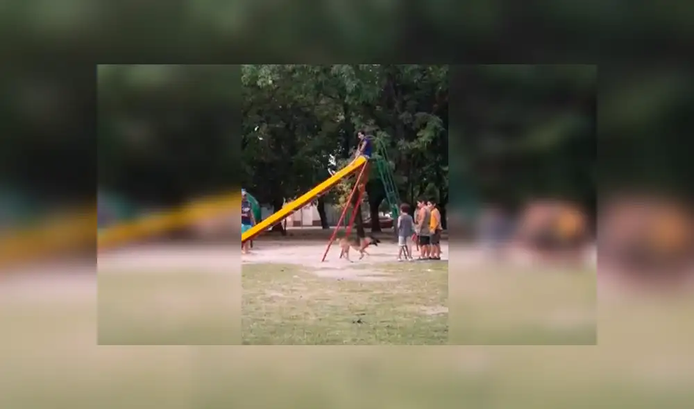 En YouTube, unos niños aprovecharon la ausencia de su madre para ir al parque a jugar con su mascota. En YouTube, unos niños aprovecharon la ausencia de su madre para ir al parque a jugar con su mascota.