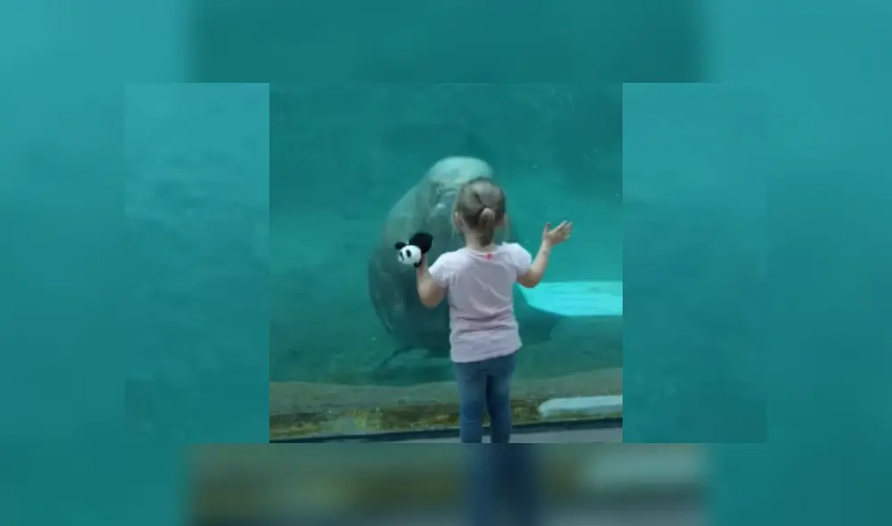 Desliza hacia la izquierda para ver más del video viral. Fotocaptura: YouTube