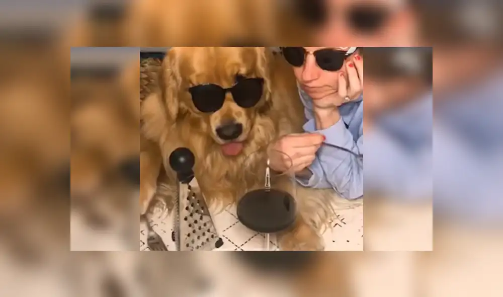 Desliza las imágenes para ver a este divertido perro que ha causado sensación por su interpretación de 'Stand by me'.