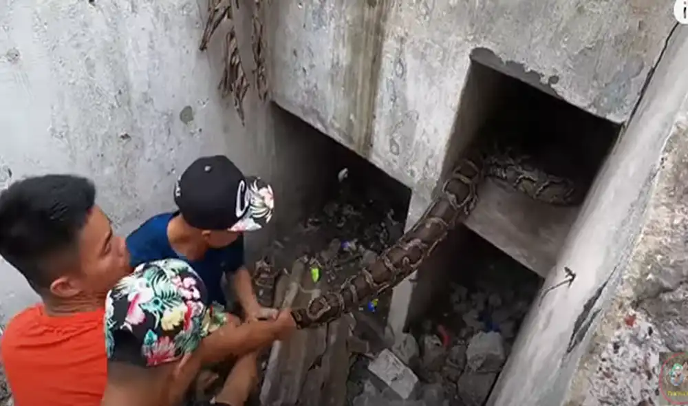 Desliza hacia la izquierda para ver las imágenes del video viral. Foto: Usuario/YouTube.