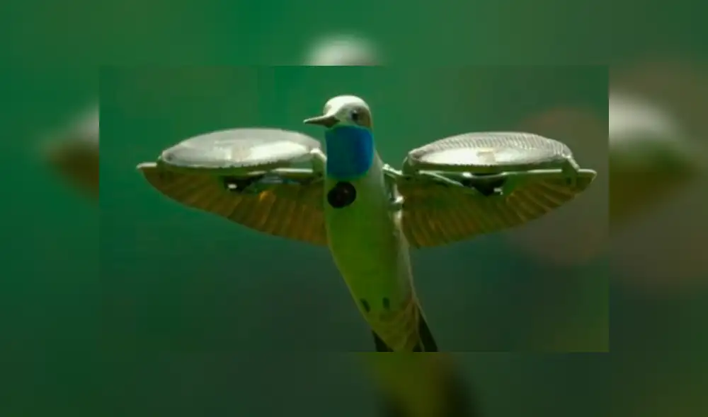 Desliza la imagen de Facebook para verlas todas. Desliza la imagen de Facebook para verlas todas.