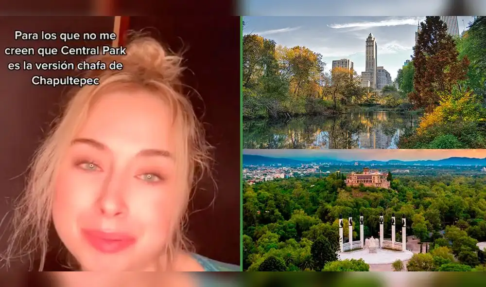 El metraje acumula más de un millón de reproducciones. Foto: captura de TikTok El metraje acumula más de un millón de reproducciones. Foto: captura de TikTok