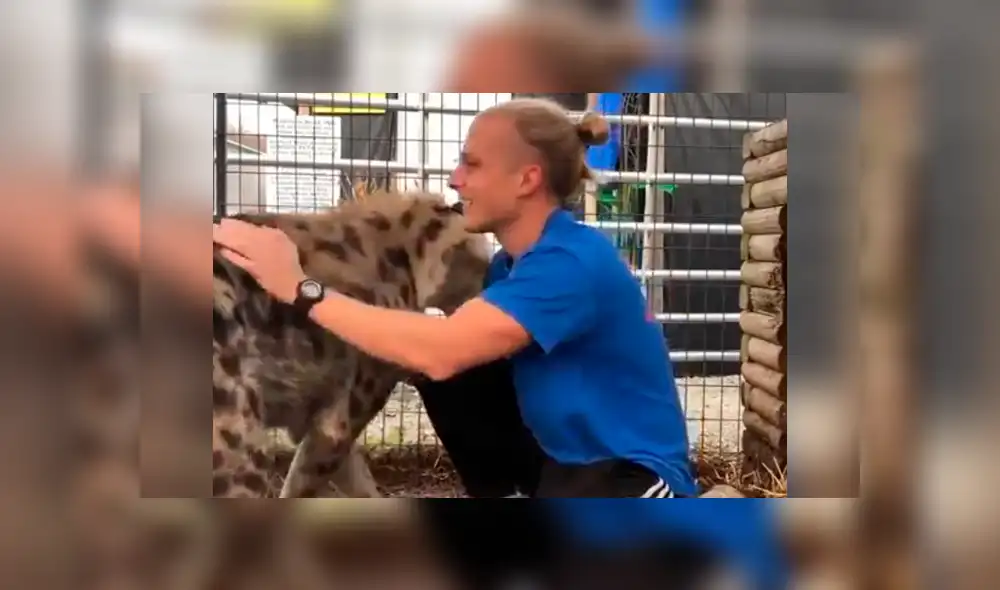 Facebook viral: joven tiene conmovedor reencuentro con feroz hiena que cuidó cuando era un bebé [VIDEO]