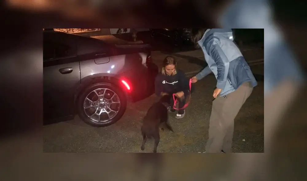 La dueña incluso invirtió parte de sus ahorros universitarios para trasladar a su perra. Foto: Clarín. La dueña incluso invirtió parte de sus ahorros universitarios para trasladar a su perra. Foto: Clarín.