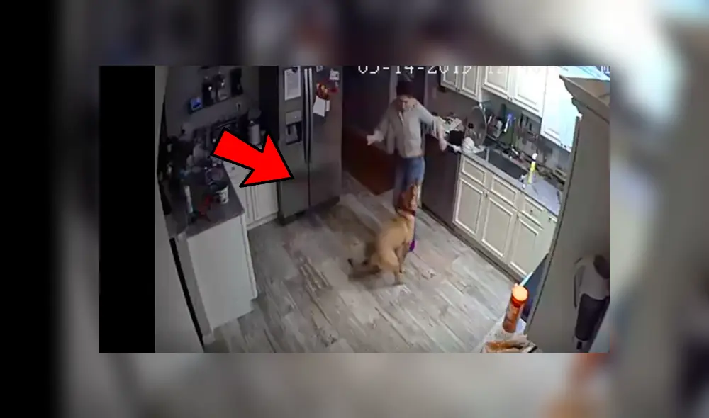 Coloca cámara de seguridad y descubre lo que hace su novia con su perro cuando él no está en casa Coloca cámara de seguridad y descubre lo que hace su novia con su perro cuando él no está en casa