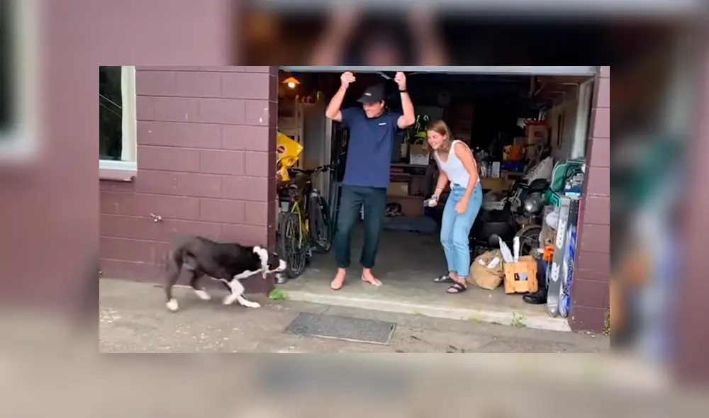 Desliza hacia la izquierda para ver más del video viral Desliza hacia la izquierda para ver más del video viral