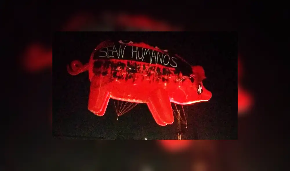 Chanchos nocturnos que vuelan