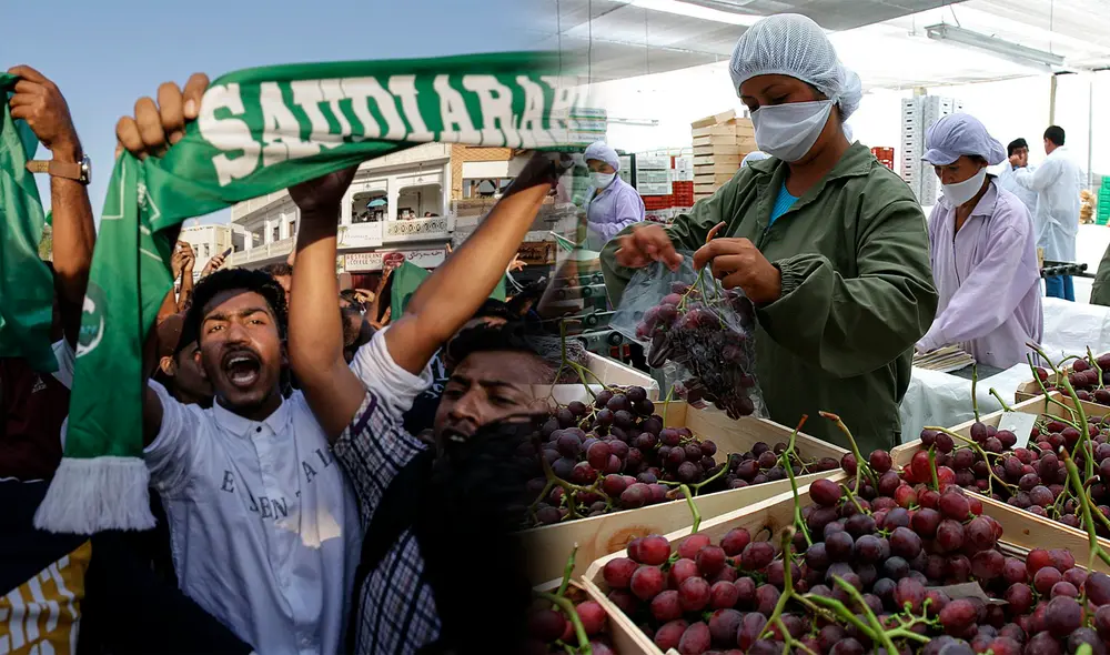 Exportaciones peruanas a Arabia Saudita alcanzaron los US$ 8.308 millones hasta setiembre