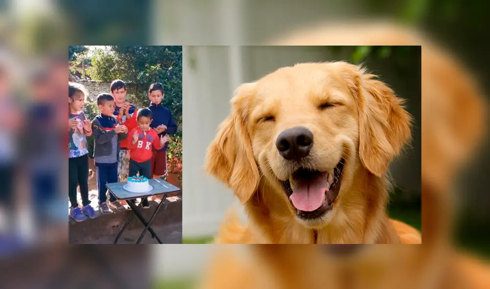 Video es viral en Facebook. ¡Qué hiciste Firulais! El niño tuvo una bonita fiesta de cumpleaños que será recordada por siempre por la travesura de este simpático perro. Foto: Captura. Video es viral en Facebook. ¡Qué hiciste Firulais! El niño tuvo una bonita fiesta de cumpleaños que será recordada por siempre por la travesura de este simpático perro. Foto: Captura.