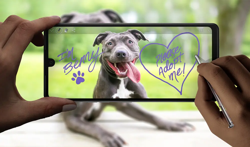 Lanzamiento oficial del nuevo LG K71. | Foto: LG