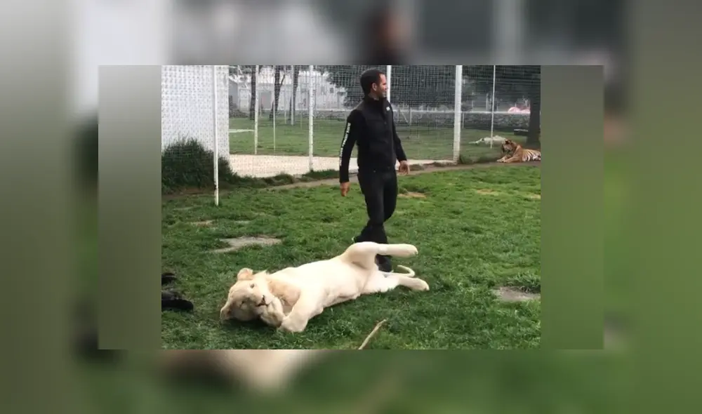 Desliza hacia la izquierda para ver las imágenes del viral de Facebook.