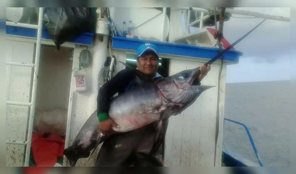 Chimbote: Patrón de lancha fue condenado por pesca ilegal de pota 