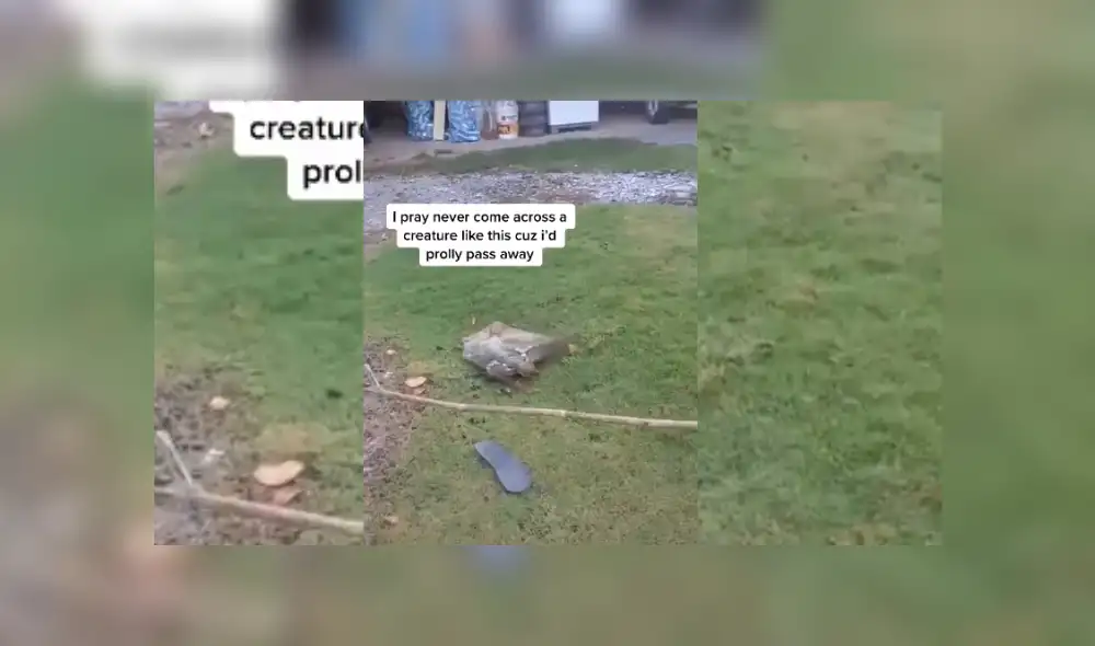 Desliza hacia la izquierda para ver más del video viral. Desliza hacia la izquierda para ver más del video viral.