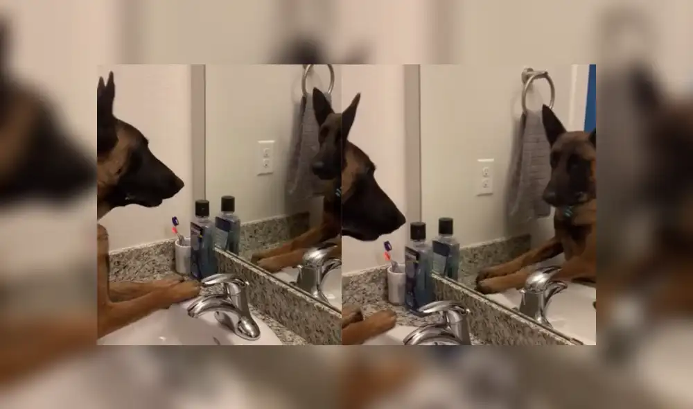 Desliza a la izquierda para conocer más sobre este nuevo video viral que ha hecho reír a miles en Facebook. Foto: Captura. Desliza a la izquierda para conocer más sobre este nuevo video viral que ha hecho reír a miles en Facebook. Foto: Captura.