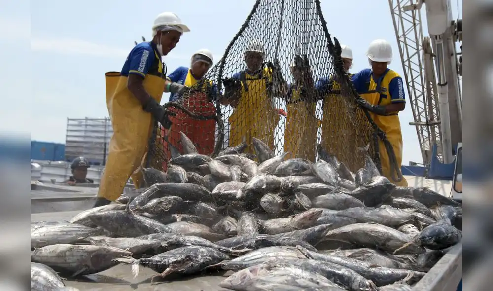 Pescadores reiteran que nuevos derechos de pesca reducirán sus ingresos Pescadores reiteran que nuevos derechos de pesca reducirán sus ingresos