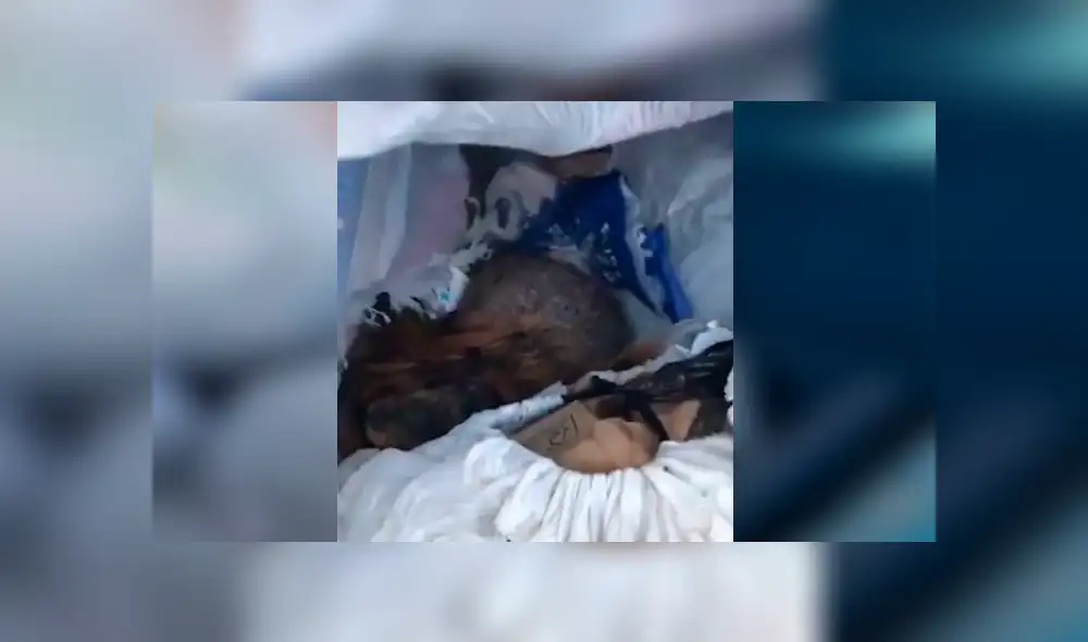 Una insólita grabación muestra a una extraña criatura saliendo despavorida de un bote de basura. Una insólita grabación muestra a una extraña criatura saliendo despavorida de un bote de basura.