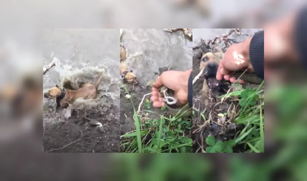 Desliza las imágenes para ver más detalles sobre esta escena que es viral en YouTube. Desliza las imágenes para ver más detalles sobre esta escena que es viral en YouTube.